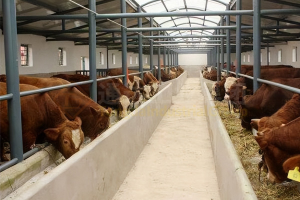 養(yǎng)牛的牛糞怎么處理?小型牛糞有機(jī)肥生產(chǎn)線多少錢?