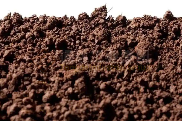 蚯蚓養(yǎng)殖與秸稈牛糞廢棄物綜合利用，制成高效蚯蚓糞有機肥，助力鄉(xiāng)村振興建設